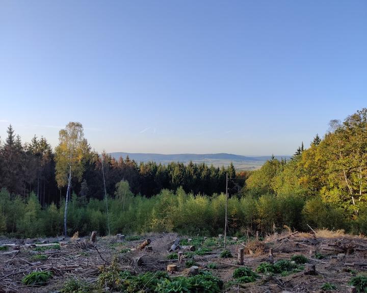 Forsthaus Winterstein